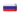 Russian translation flag